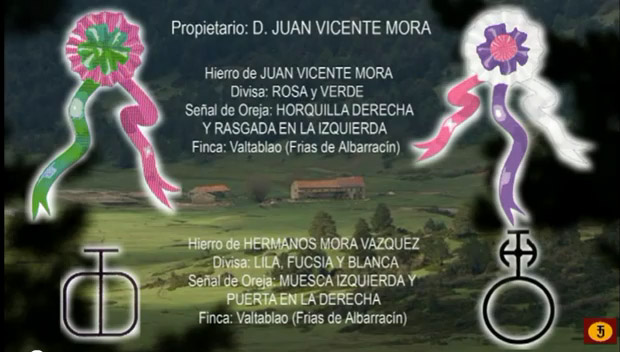 Producciones Jose Julio Torres